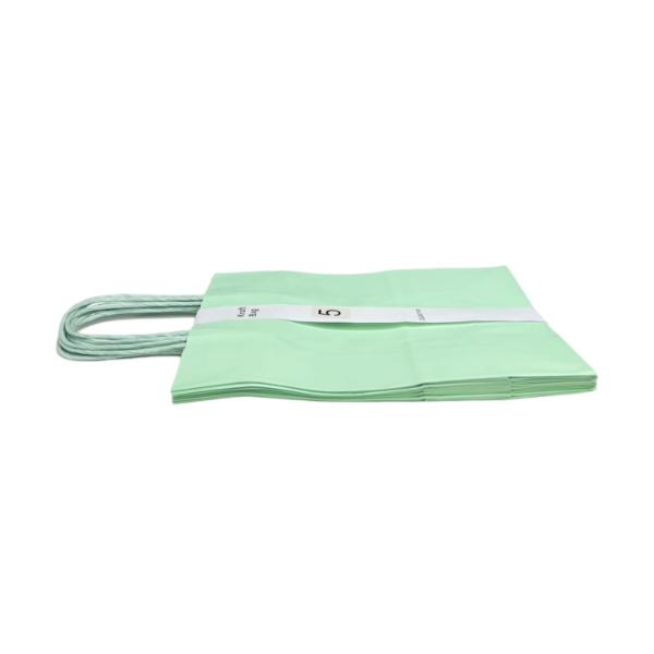 5 Pack Mint Green Kraft Bag - 22cm x 28cm x 11cm