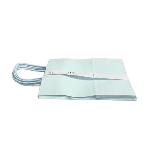 5 Pack Light Blue Kraft Bag - 22cm x 28cm x 11cm