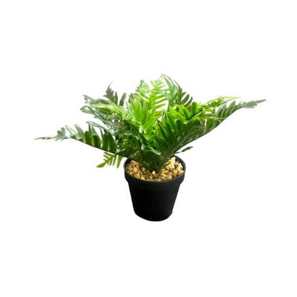 Green Leaf Potted Plant - 20cm