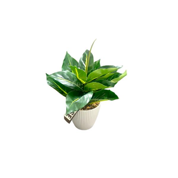 Green Leaf Potted Plant - 25cm