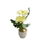 Load image into Gallery viewer, White Flower Potted Plant - 32cm

