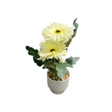 Load image into Gallery viewer, White Flower Potted Plant - 32cm
