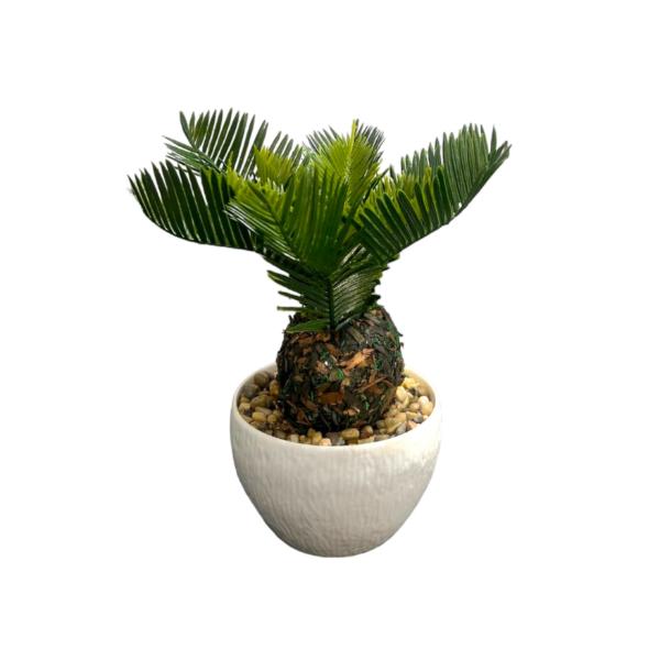 Small Palm Plant - 25cm