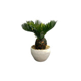 Load image into Gallery viewer, Small Palm Plant - 25cm
