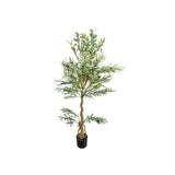 Load image into Gallery viewer, Olive Tree - 170cm
