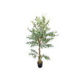 Load image into Gallery viewer, Olive Tree - 170cm
