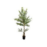 Load image into Gallery viewer, Olive Tree - 170cm
