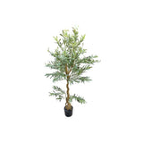 Load image into Gallery viewer, Olive Tree - 170cm
