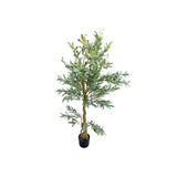 Load image into Gallery viewer, Olive Tree - 170cm
