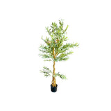 Load image into Gallery viewer, Olive Tree - 170cm
