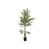 Load image into Gallery viewer, Olive Tree - 170cm
