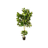 Load image into Gallery viewer, Green Money Tree - 198cm
