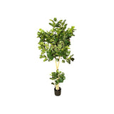 Load image into Gallery viewer, Green Money Tree - 198cm

