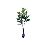 Load image into Gallery viewer, Banana Leaf Money Tree - 145cm
