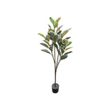 Load image into Gallery viewer, Banana Leaf Money Tree - 145cm
