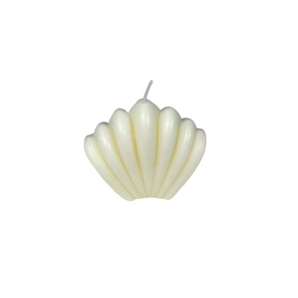 SHELL CANDLE