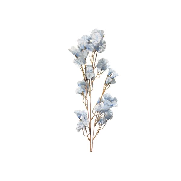 Assorted Genko Branch