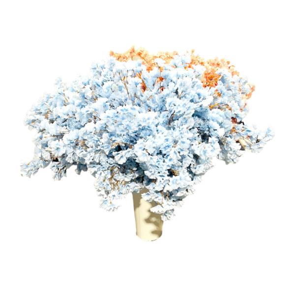 Assorted Genko Branch