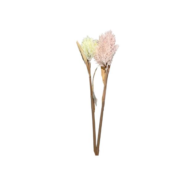 Baby Breath Branch
