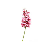 Load image into Gallery viewer, Long Orchid
