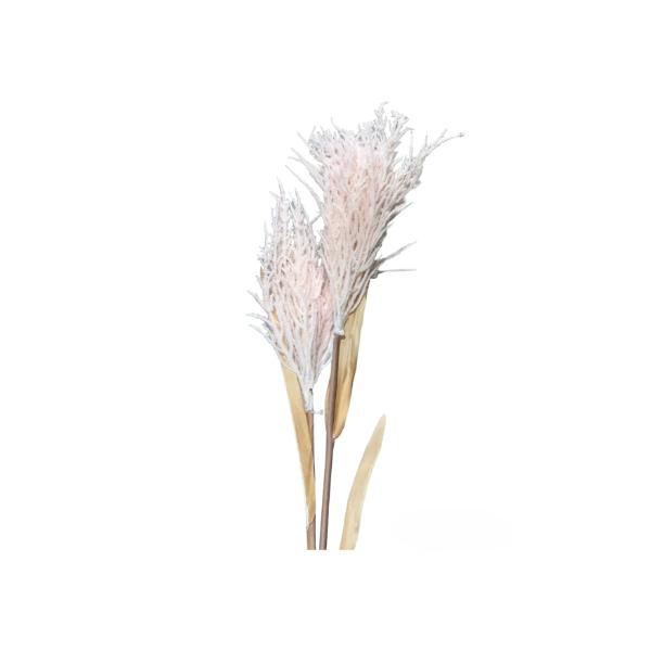 2 Baby Branch Spray