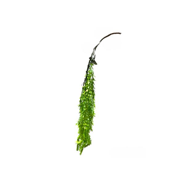 Rosemary Bush Hanging Spray - 90cm