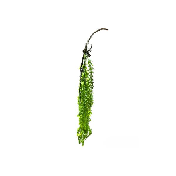 Rosemary Bush Hanging Spray - 90cm