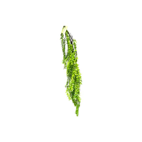 Rosemary Bush Hanging Spray - 90cm