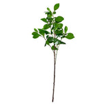 Load image into Gallery viewer, Peperomia Leaf Spray - 88cm
