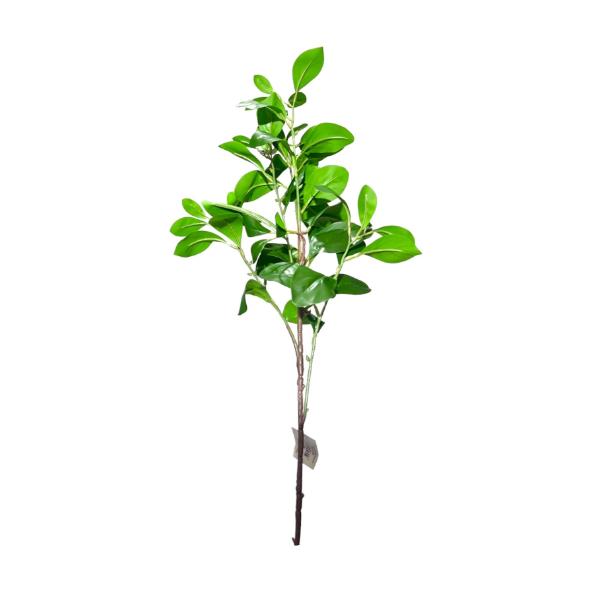 Peperomia Leaf Spray - 88cm