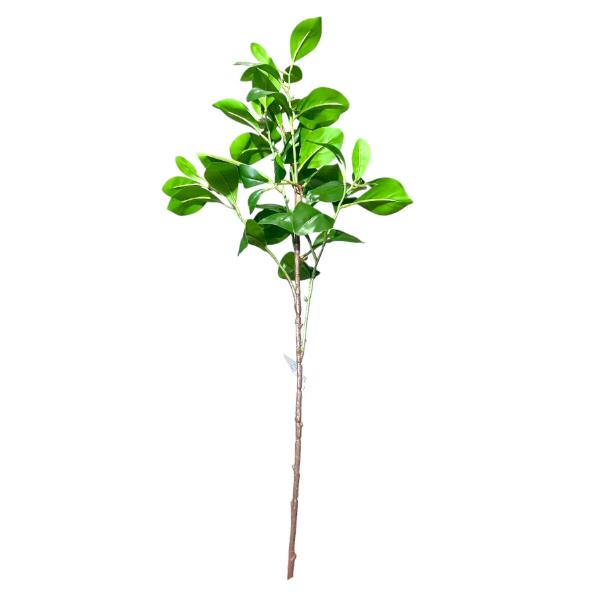 Peperomia Leaf Spray - 88cm