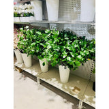 Load image into Gallery viewer, Peperomia Leaf Spray - 88cm
