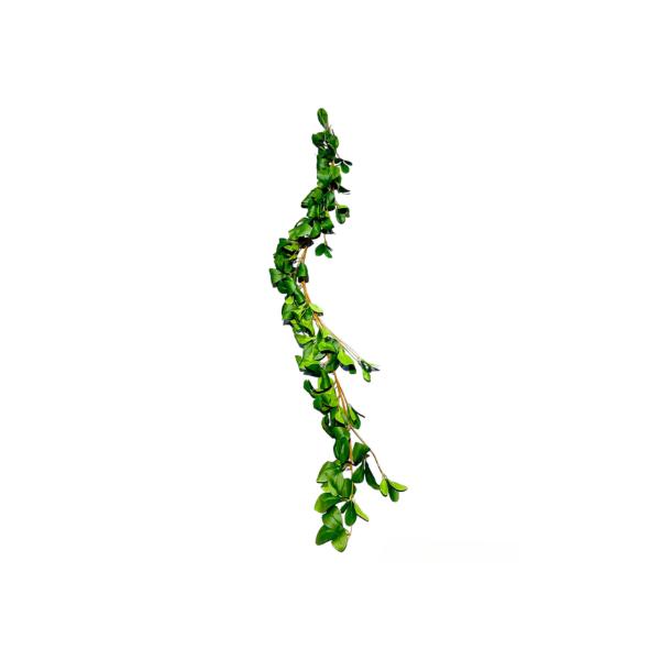 Rose Leaf Garland - 170cm