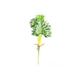 Load image into Gallery viewer, Philodendron Leaf Spray - 70cm
