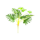 Load image into Gallery viewer, Philodendron Leaf Spray - 70cm
