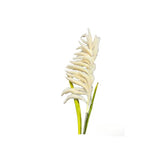 Load image into Gallery viewer, Reed Grass Spray - 130cm
