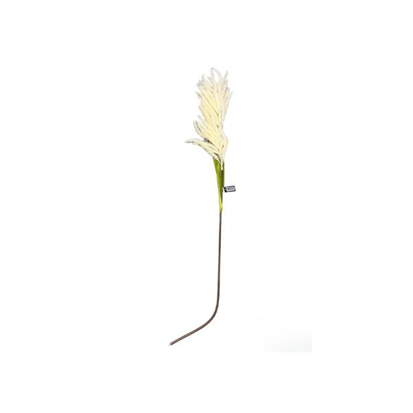 Reed Grass Spray - 130cm