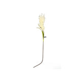 Load image into Gallery viewer, Reed Grass Spray - 130cm
