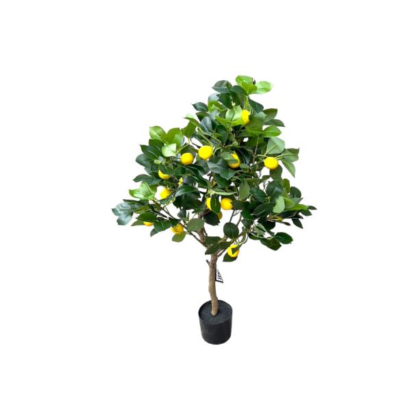 Green Lemon Tree - 90cm