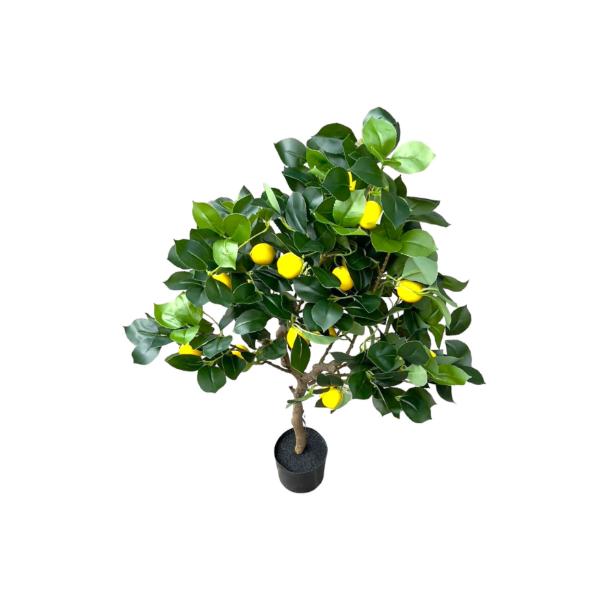 Green Lemon Tree - 90cm