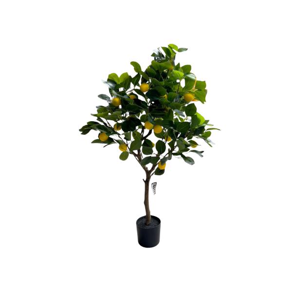 Green Lemon Tree - 90cm