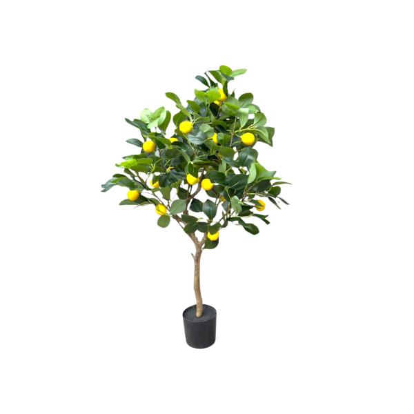 Green Lemon Tree - 90cm