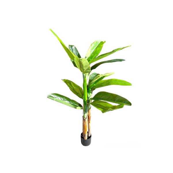 Bird Of Paradise Potted Plant - 160cm