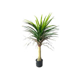 Load image into Gallery viewer, Yucca Potted Plant - 90cm
