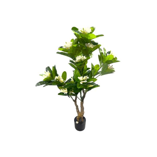 Green Frangipani Flower Tree - 130cm