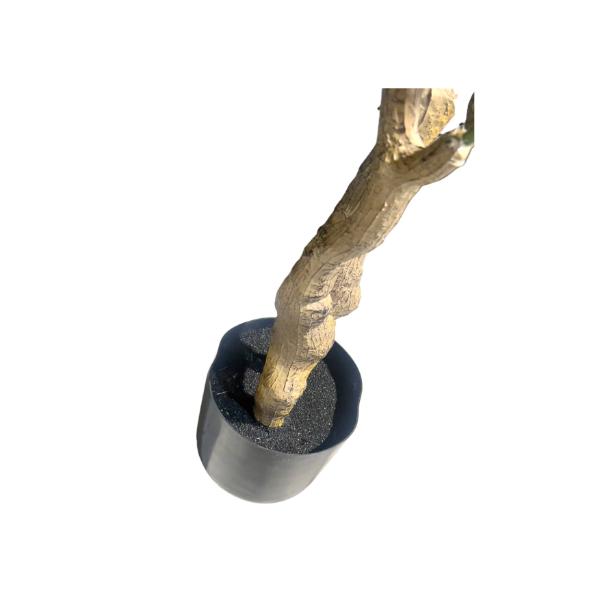 Green Frangipani Flower Tree - 130cm