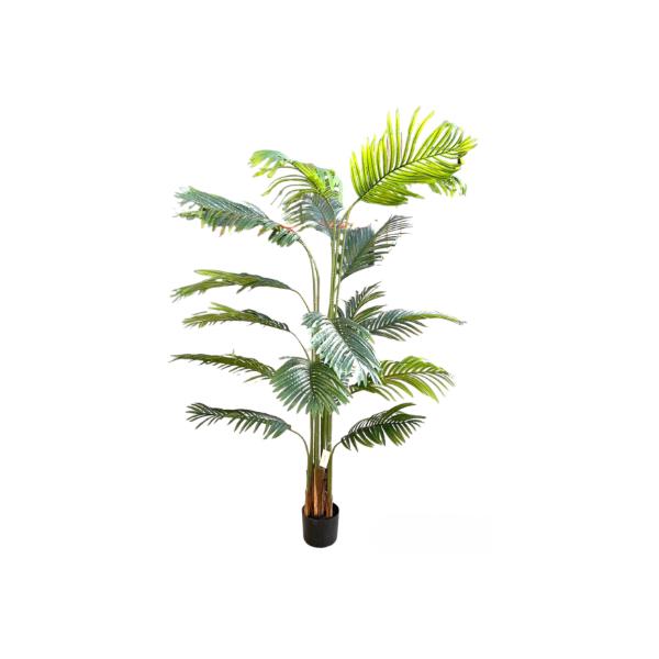 Palm Tree Potted Plant - 200cm