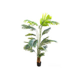Load image into Gallery viewer, Palm Tree Potted Plant - 200cm
