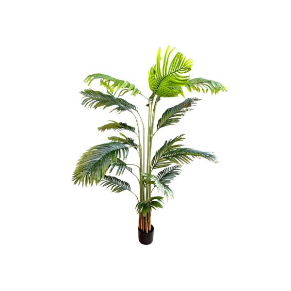 Palm Tree Potted Plant - 200cm