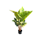 Load image into Gallery viewer, Elephant Ear Potted Plant - 100cm
